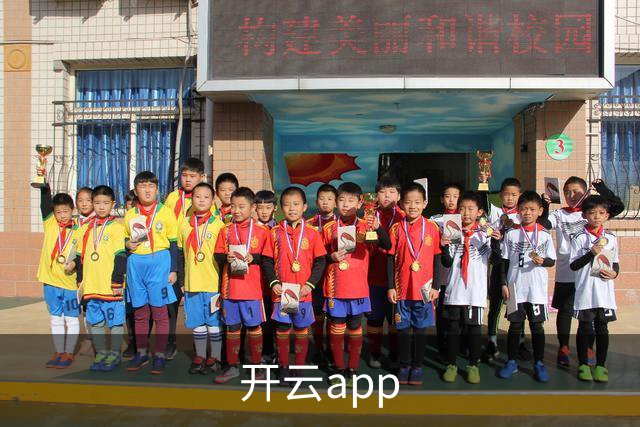 开云app 公司介绍